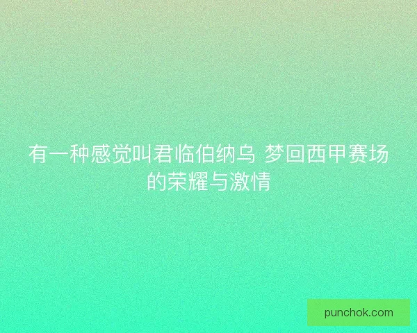有一种感觉叫君临伯纳乌 梦回西甲赛场的荣耀与激情