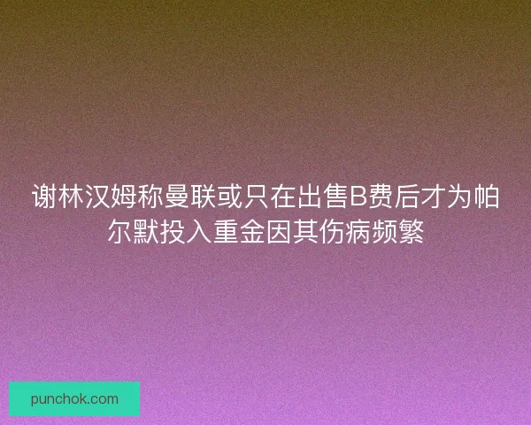 谢林汉姆称曼联或只在出售B费后才为帕尔默投入重金因其伤病频繁