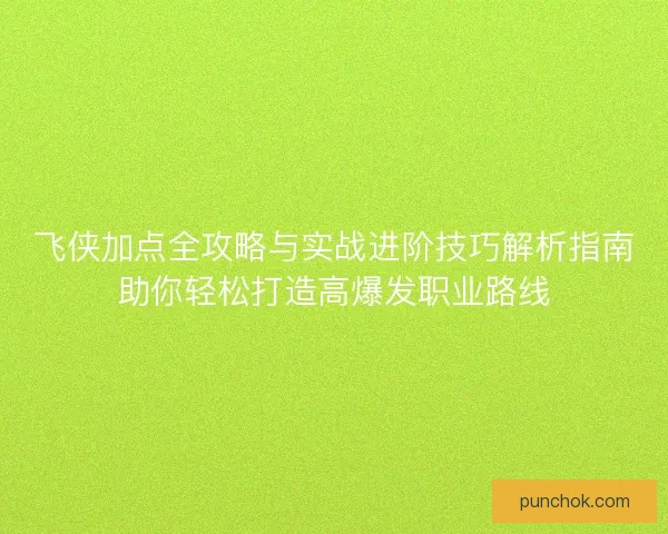 飞侠加点全攻略与实战进阶技巧解析指南助你轻松打造高爆发职业路线