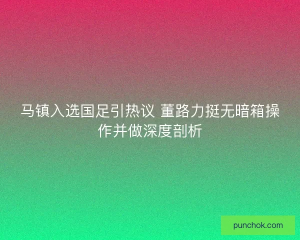 马镇入选国足引热议 董路力挺无暗箱操作并做深度剖析 马镇入选国足引热议 董路力挺无暗箱操作并做深度剖析