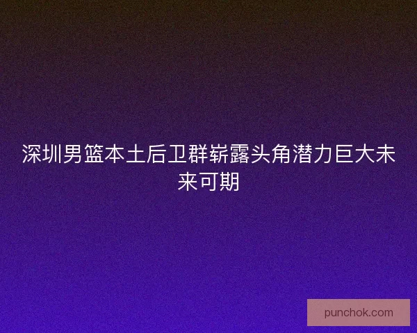 深圳男篮本土后卫群崭露头角潜力巨大未来可期