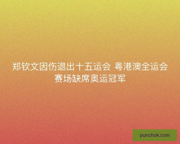 郑钦文因伤退出十五运会 粤港澳全运会赛场缺席奥运冠军 郑钦文因伤退出十五运会 粤港澳全运会赛场缺席奥运冠军