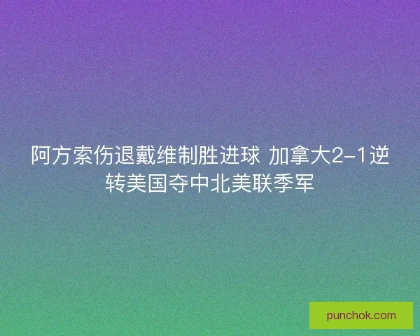 阿方索伤退戴维制胜进球 加拿大2-1逆转美国夺中北美联季军 阿方索伤退戴维制胜进球 加拿大2-1逆转美国夺中北美联季军